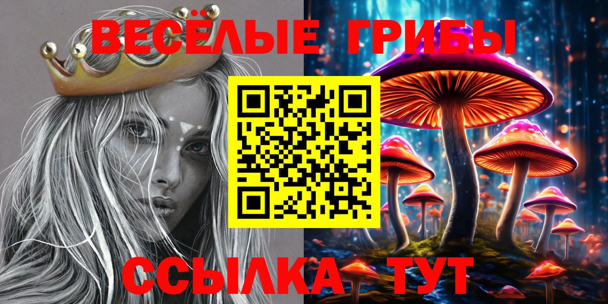 Галлюциногенные грибы GOLDEN TEACHER  Псилоцибиновые грибы Magic Shrooms  Асино  Вход с VPN 