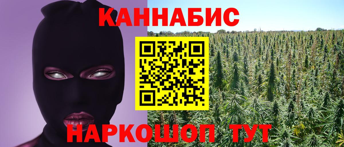 Шишки марихуана сатива Асино